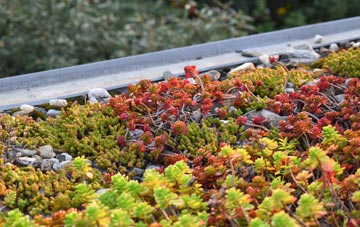 the cost of Chiddingly green roof installation